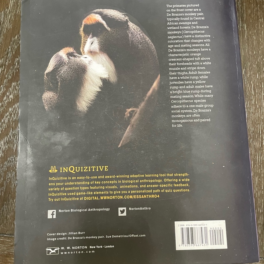 Essentials of Biological Anthropology fourth edition by Clark Spencer book - Picture 2 of 4